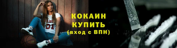 spice Бородино
