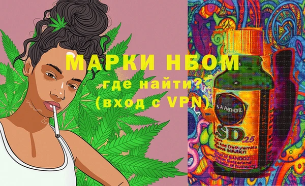 spice Бородино