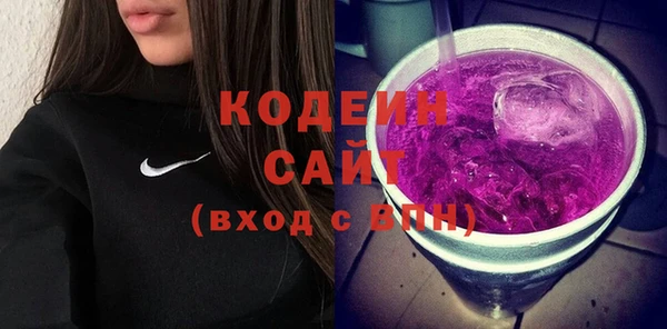 spice Бородино