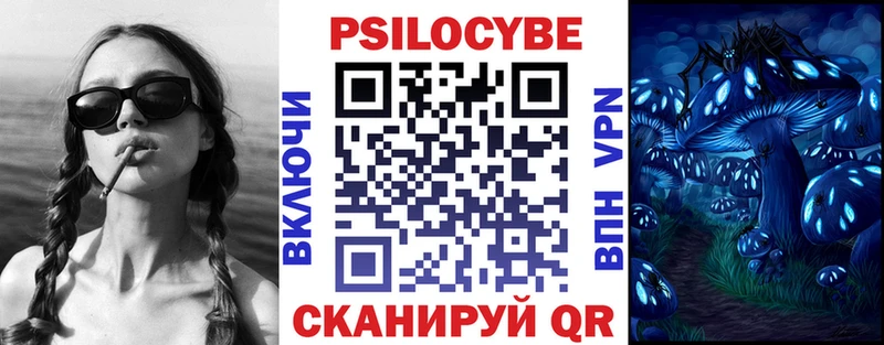 Купить закладки  Рудня  Галлюциногенные грибы GOLDEN TEACHER 