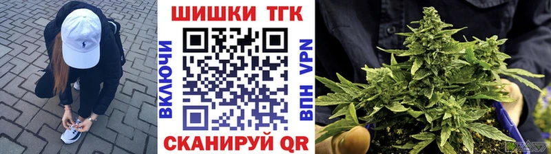 Бошки Шишки семена  Купить закладки  Рудня 